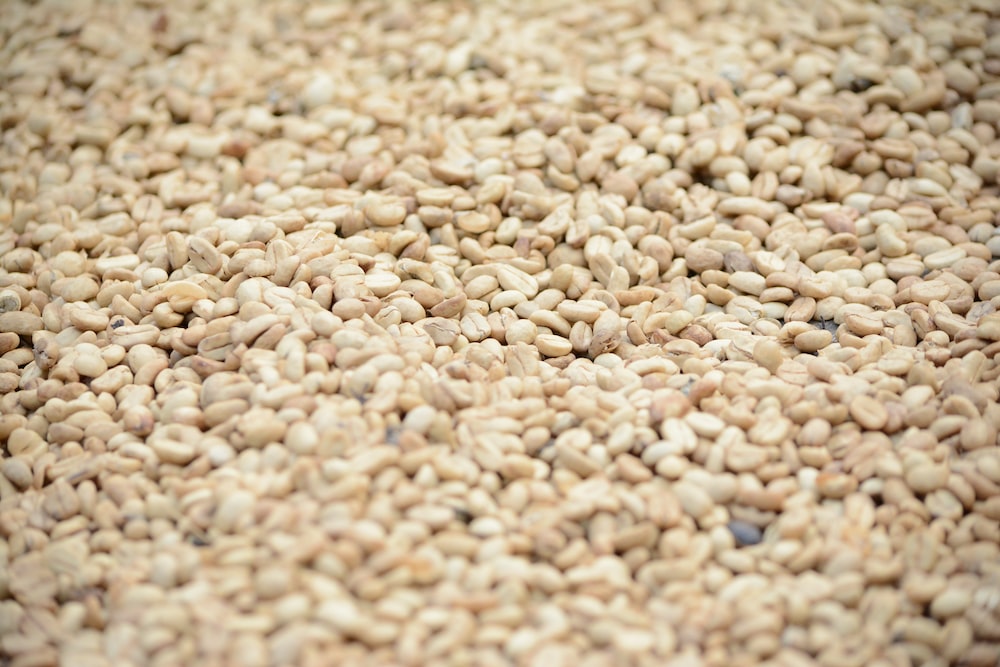 Sesame (Qty 500gm)