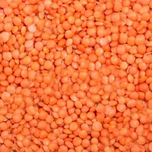 Red Lentils (Masur Dal)(Qty 1Kg)