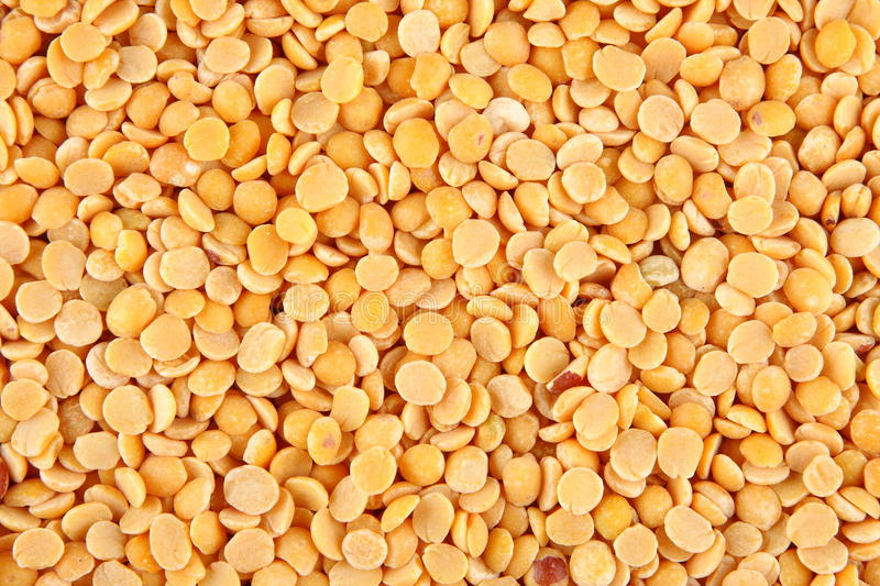 Yellow Split Pigeon Pea Plant(Tuvar dal) (Qty 1Kg)