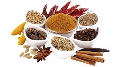 Masala Powder & Whole Spices