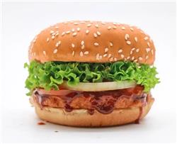 OB Chicken Amazing Burger