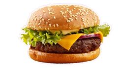 OB Paneer Jalapeno Burger