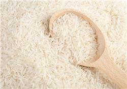 Basmati Rice