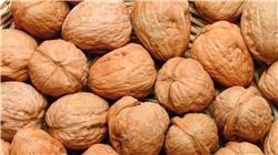 Walnut (Qty 100gm)