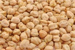 Kabuli Chana (Qty 1Kg)