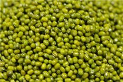 Green Mung (Qty 1Kg)