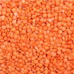Red Lentils (Masur Dal)(Qty 1Kg)