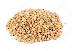 Sorghum (Jwari) (Qty 1Kg)